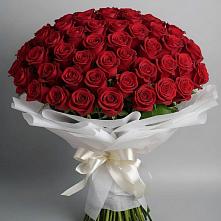 Букет 101 Красная роза Блэк Мэджик в Яя
