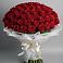 Букет 101 Красная роза Блэк Мэджик в Яя