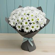 Букет цветов из:  Хризантемы #REPLACE_PRED# Яя