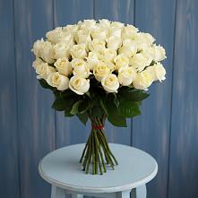 Букет 51 Белая роза Эдлесс Лав #REPLACE_PRED# Яя