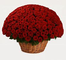 Премиум букет из: Розы в Яя